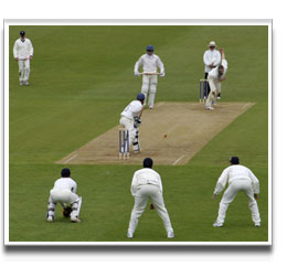image of Cricket Wicket produced from Grass Seed mixture
